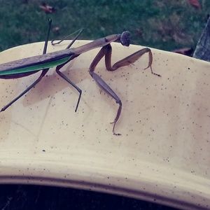 Meet your Posher, Mike